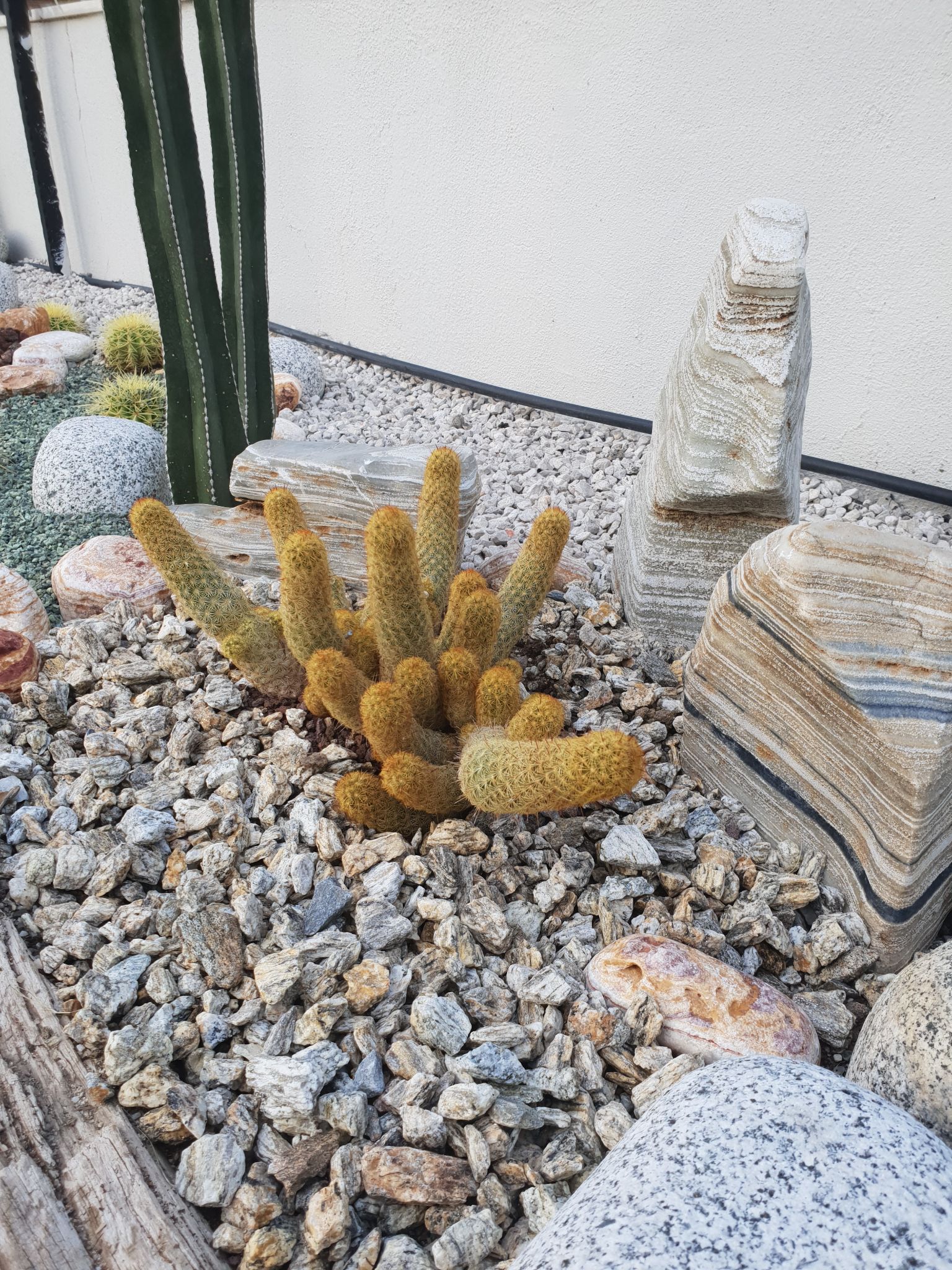 ÇAKILLI PEYZAJ UYGULAMAMIZ